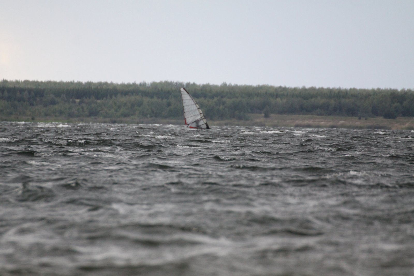 Seelhausener See