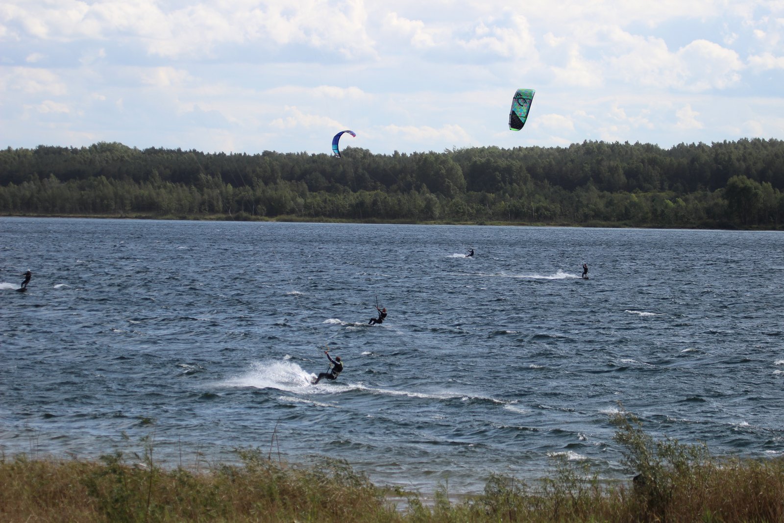 Seelhausener See