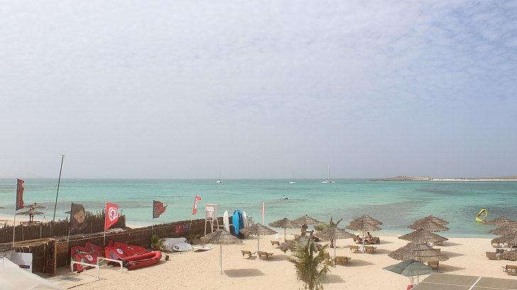 Webcam Tortuga