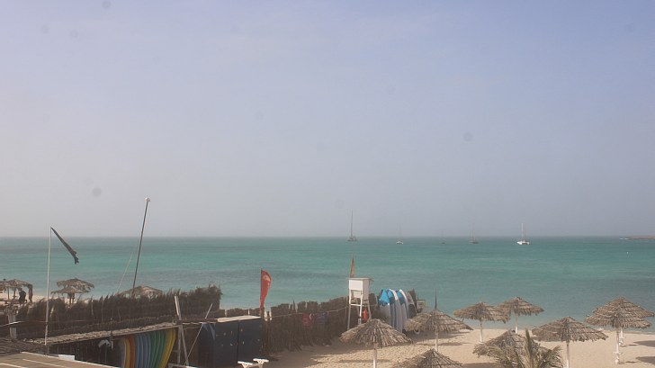 Webcam Tortuga