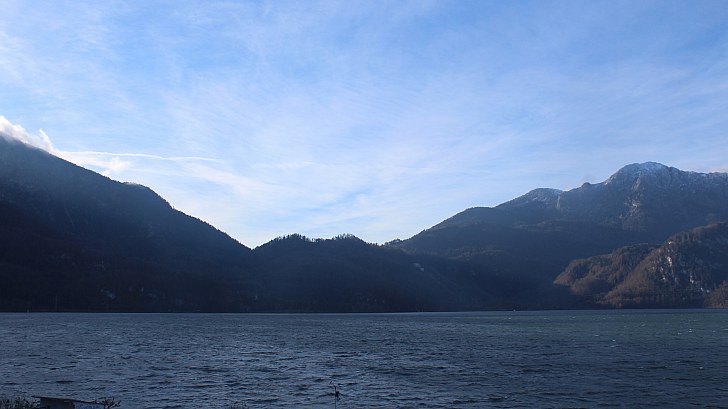 Webcam dom 06.11.2022