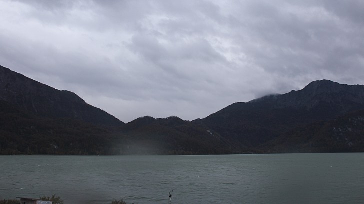 Webcam dom 13.10.2024
