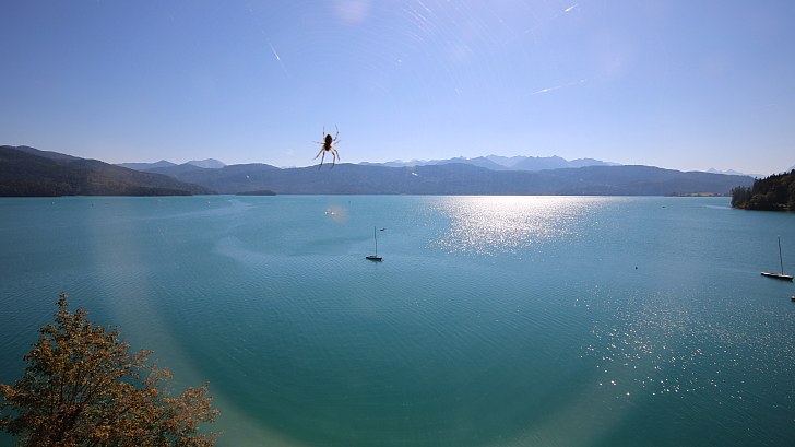Webcam Walchensee Urfeld